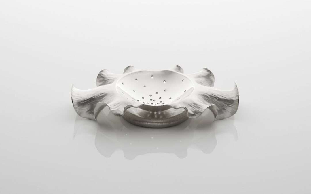 Anticlastic Raising & Forming with Rauni Higson