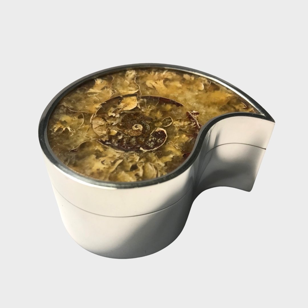 Silver & Ammonite Fossil Box